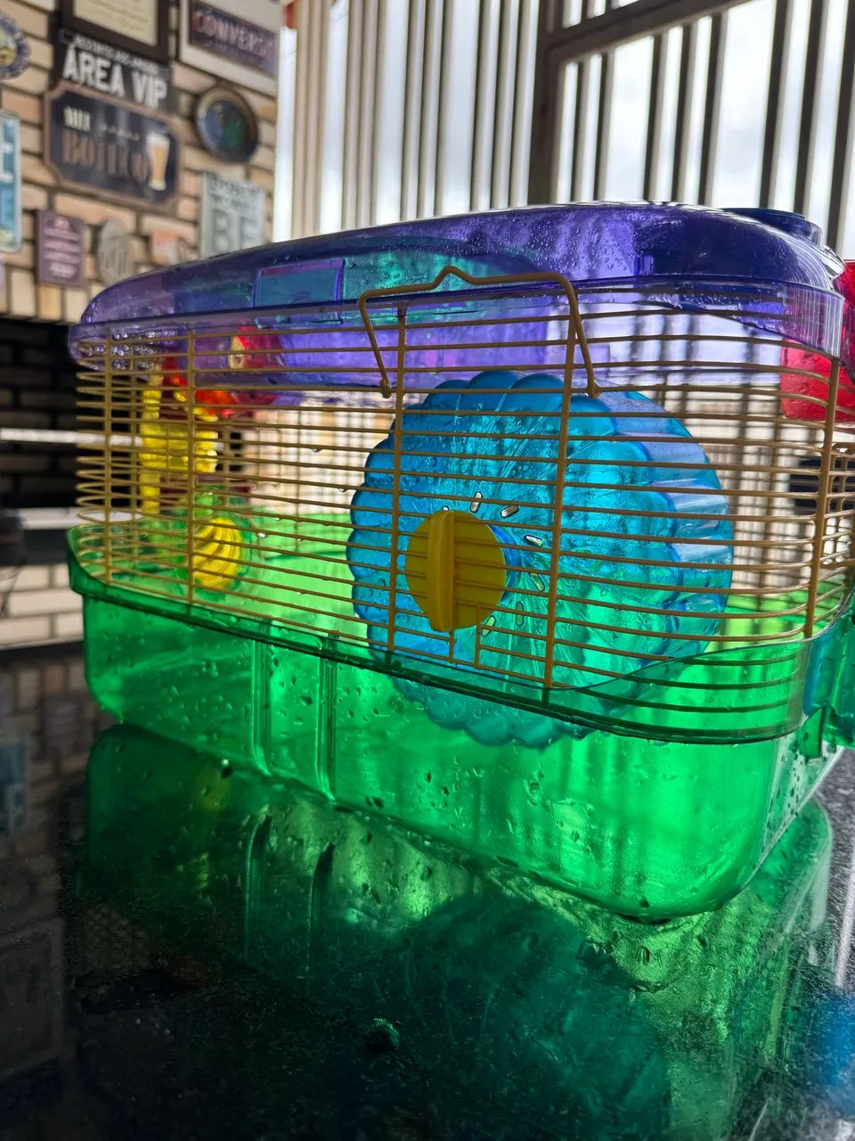 Caixa Hamster65573801661827122