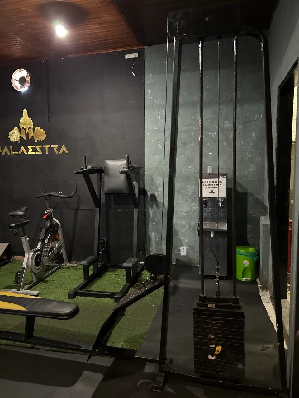 remada baixa com bateria de peso de 100kg 