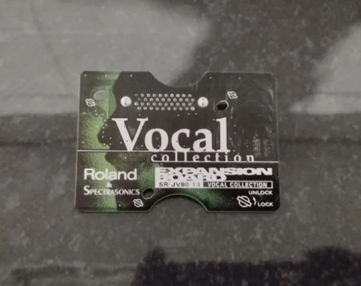 Placa de Expansão Roland Vocal SR-JV80-13 - Instrumentos musicais