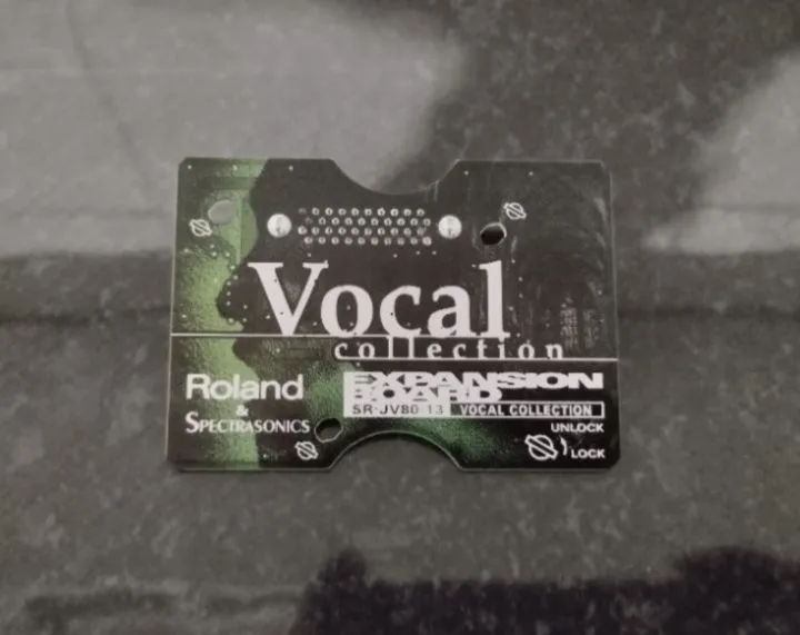 Placa de Expansão Roland World SR-JV80-05 - Instrumentos musicais