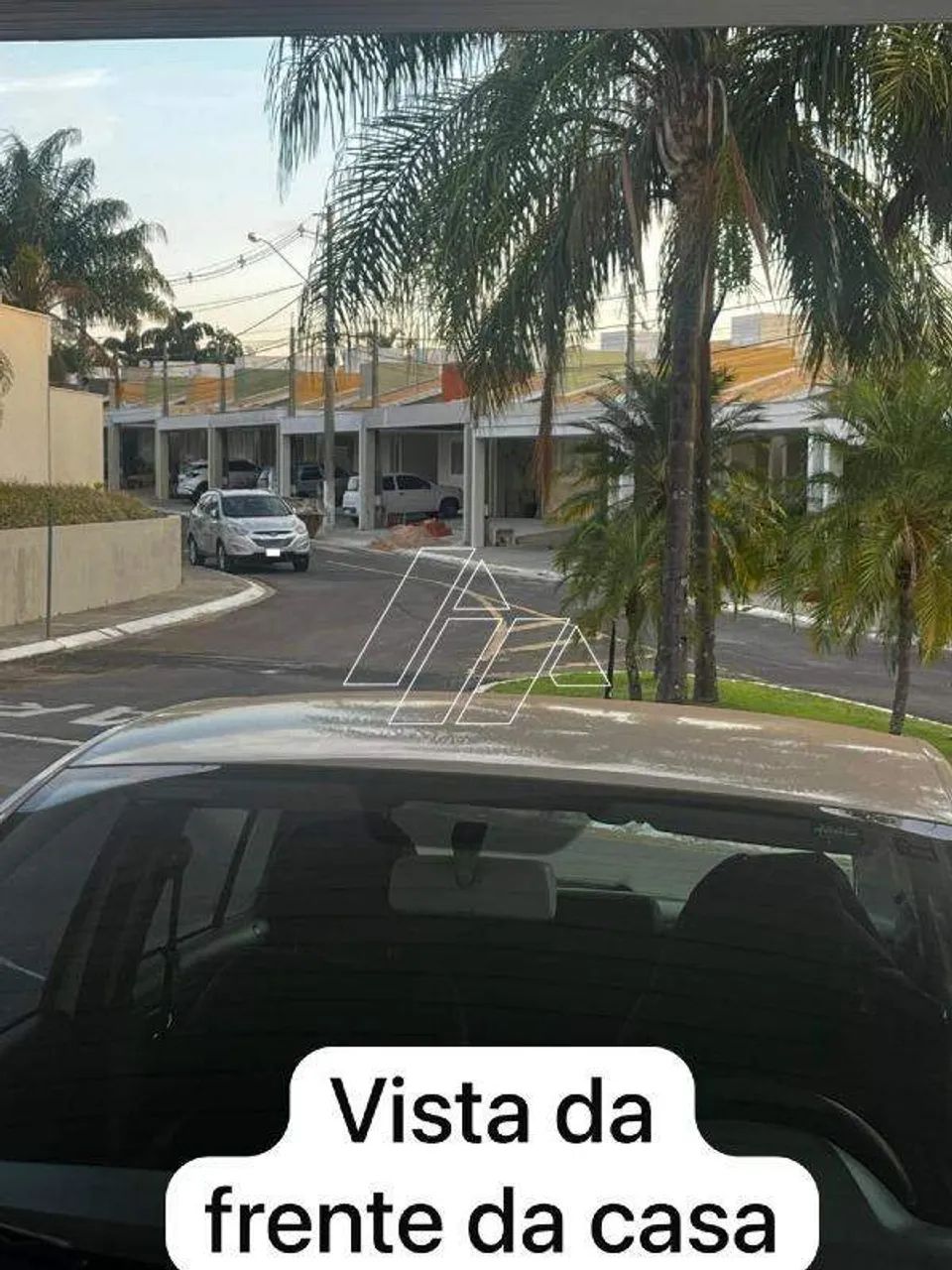 BOSQUE MUNICIPAL DE MARÍLIA - Foto 2