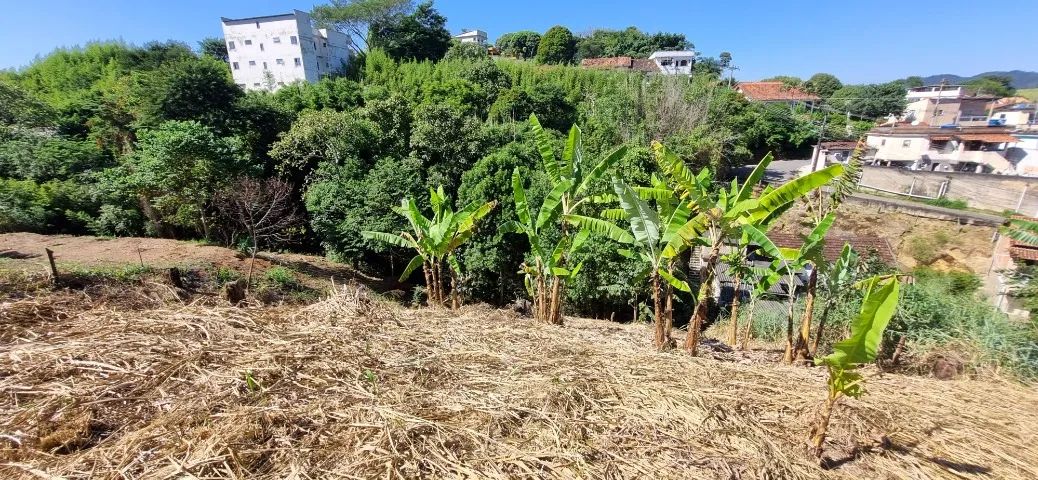 TERRENO RESIDENCIAL ECOVILLE 1.157m2 - INDEPENDÊNCIA - MENDES/RJ - Foto 8