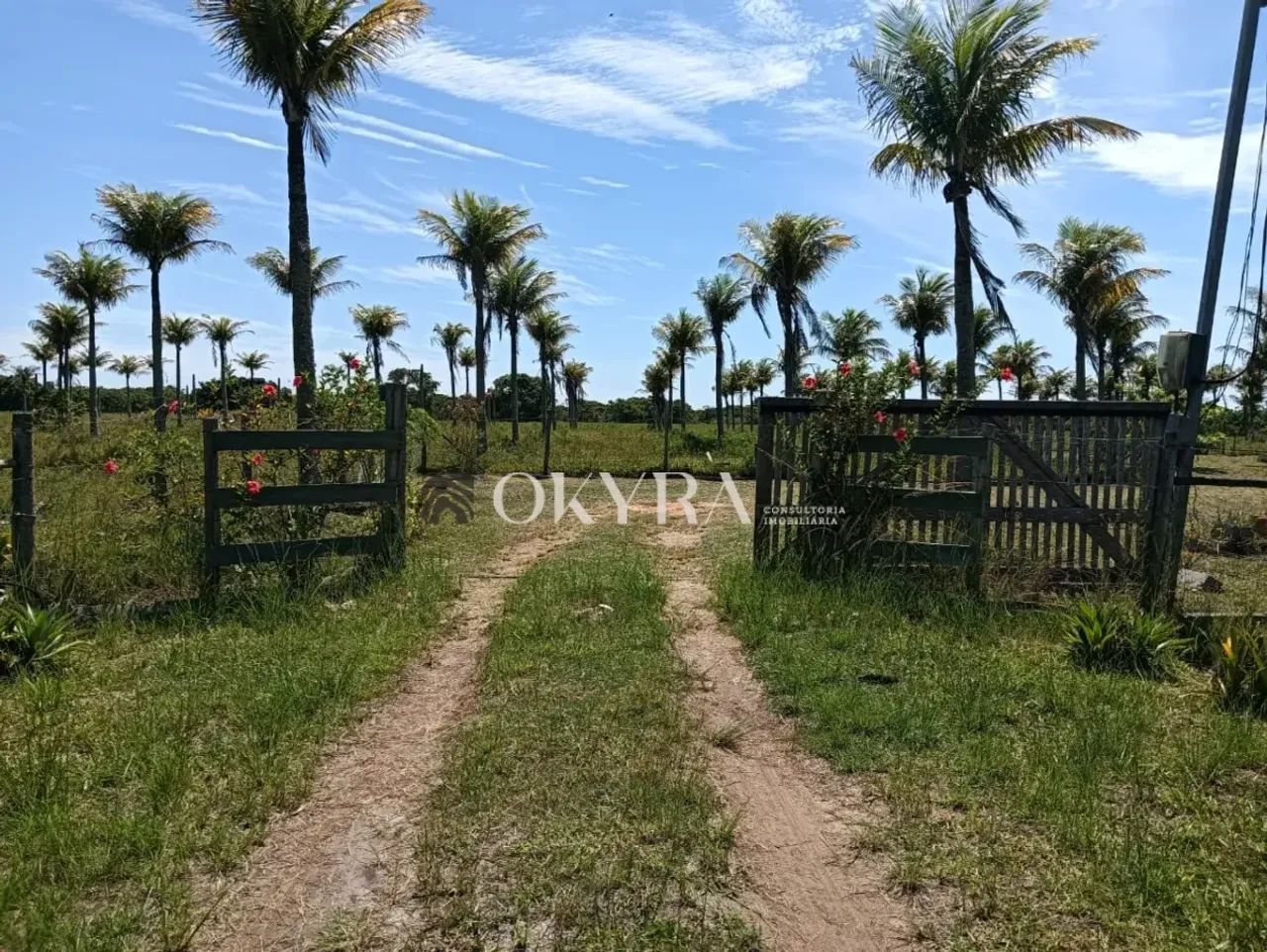 SÍTIO PARA VENDA EM QUISSAMÃ - Foto 2