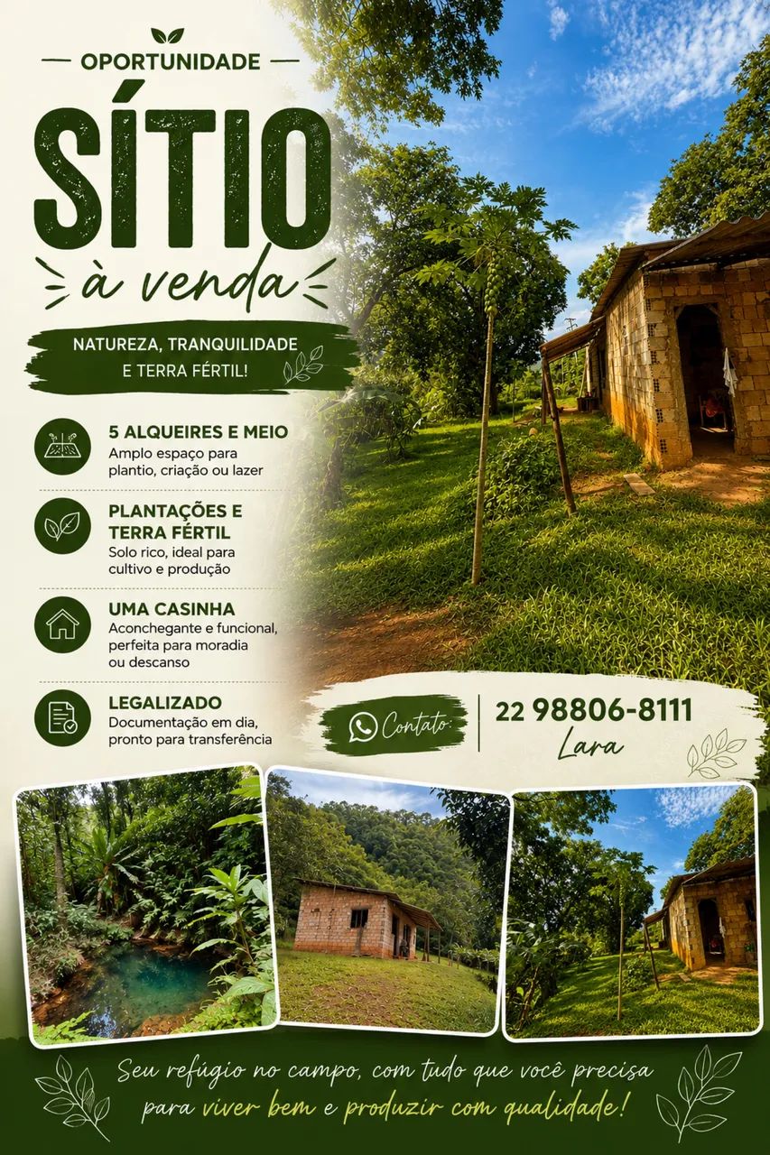 VENDE-SE SÍTIO BANANEIRAS  - Foto 4