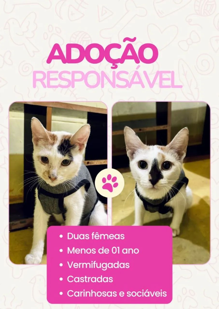 ADOAÇÃO RESPONSÁVEL 
