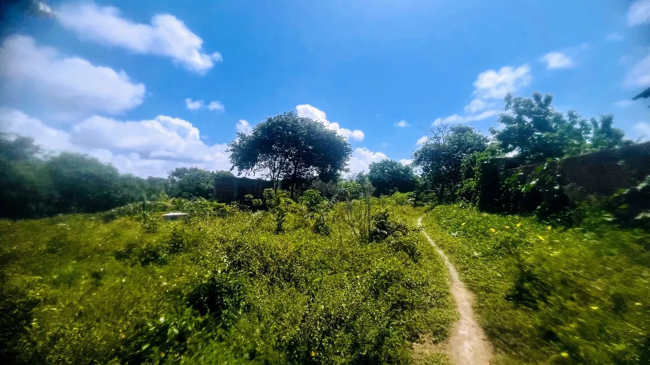TERRENO PARA VENDER! - Foto 3