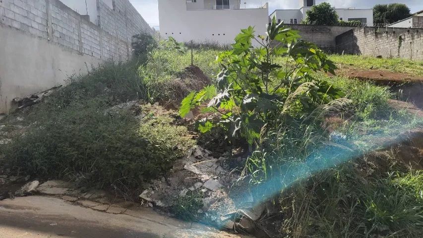 Foto - Elói Mendes - 