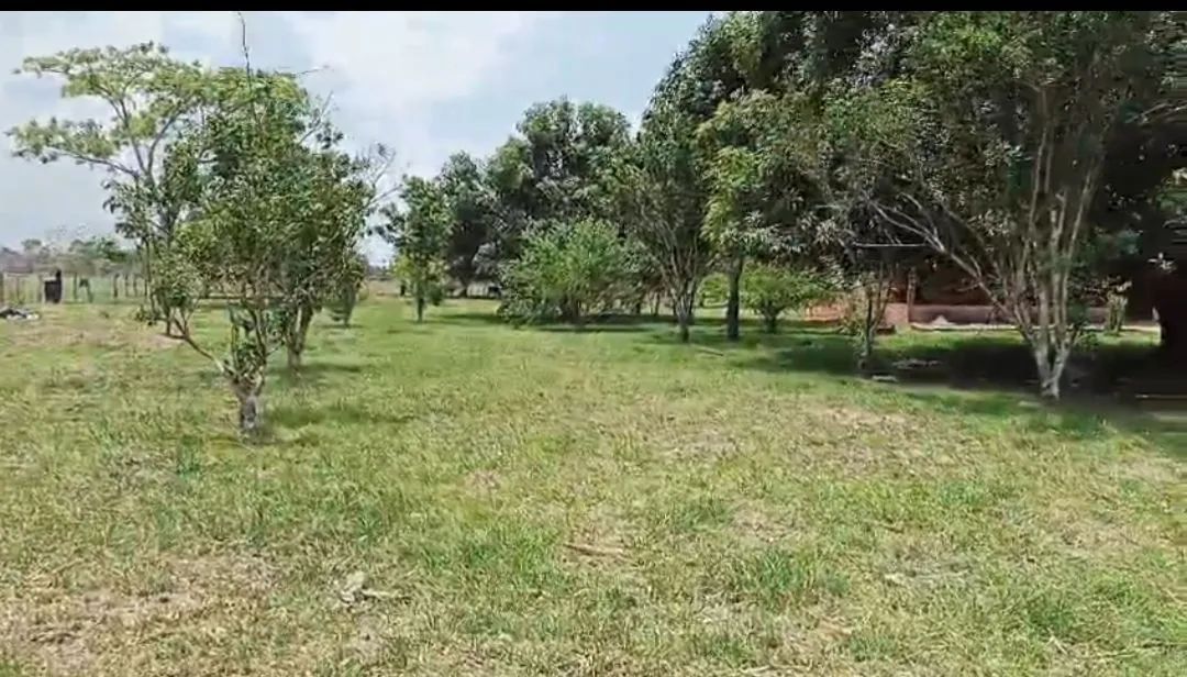 Vendo Chácara no Vila Acre - Foto 3