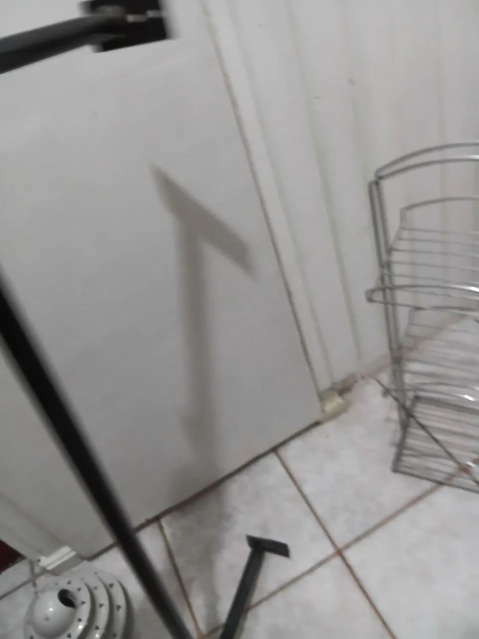 Arara. Grande de parede  - Foto 2