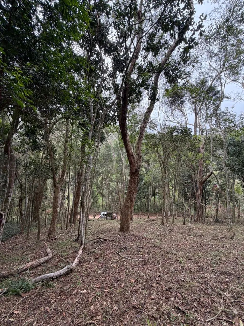 Terreno no coração do Vale das Videiras 2.000 m2 - Foto 3