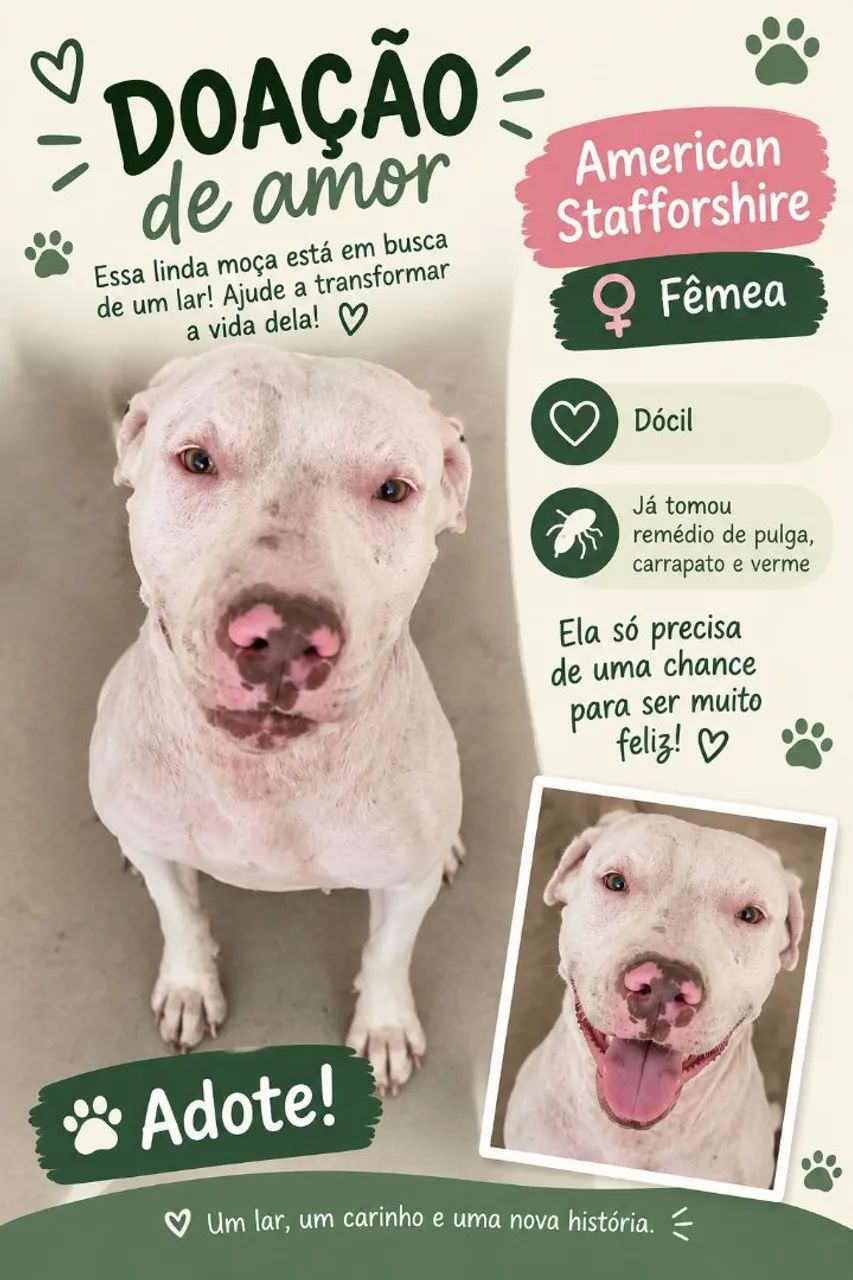 Doação 