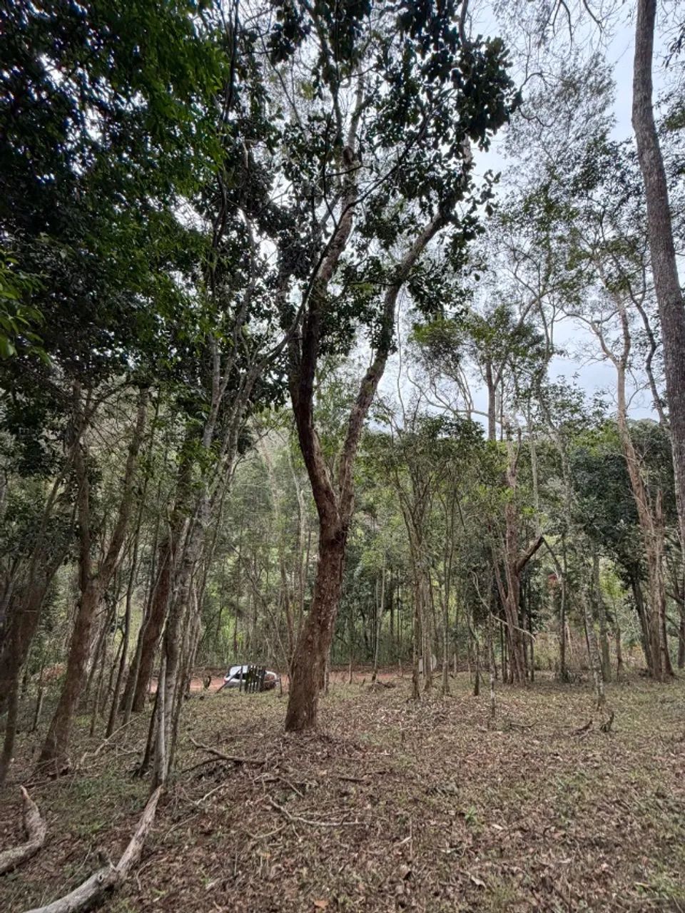 Terreno no coração do Vale das Videiras 2.000 m2 - Foto 4
