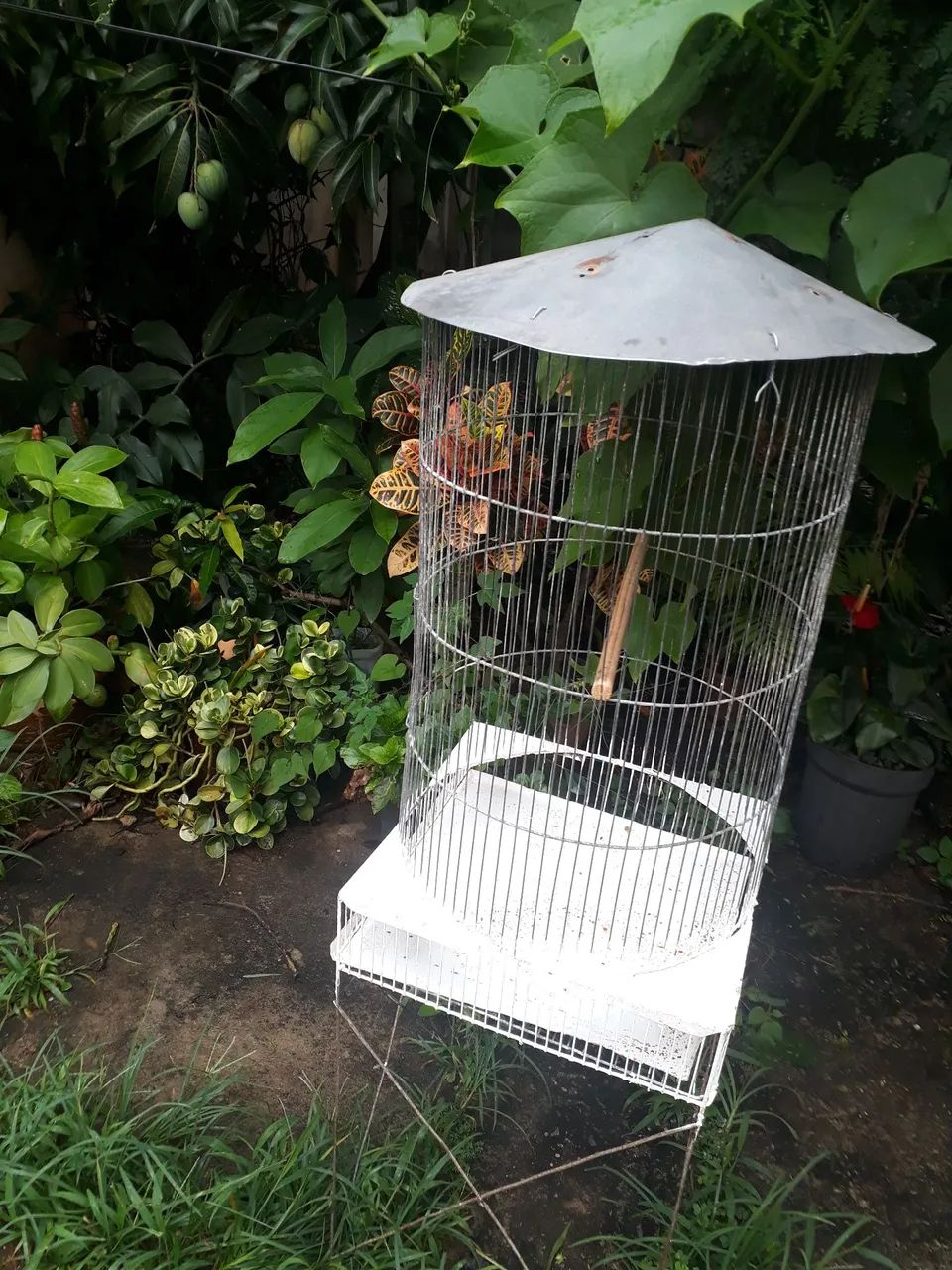 Vendo ótimo viveiro redondo. Barato - Foto 2