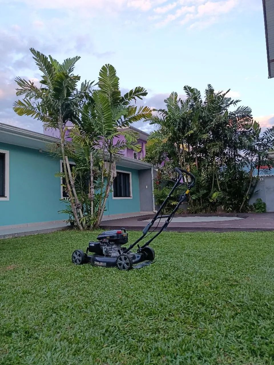 Jardinagem e paisagismo 