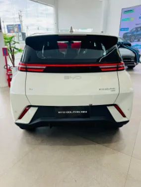 BYD Dolphin Mini (Elétrico) 2027 - Foto 5