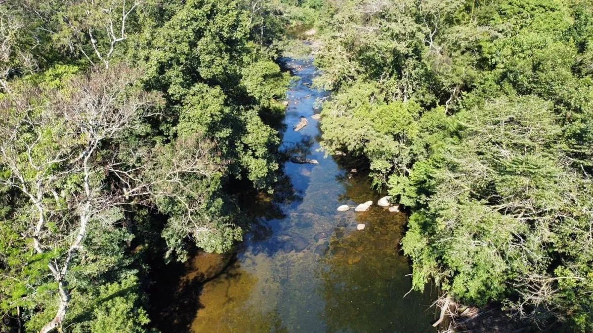 Chácara com 3 quartos à Venda - Itariri - Foto 2