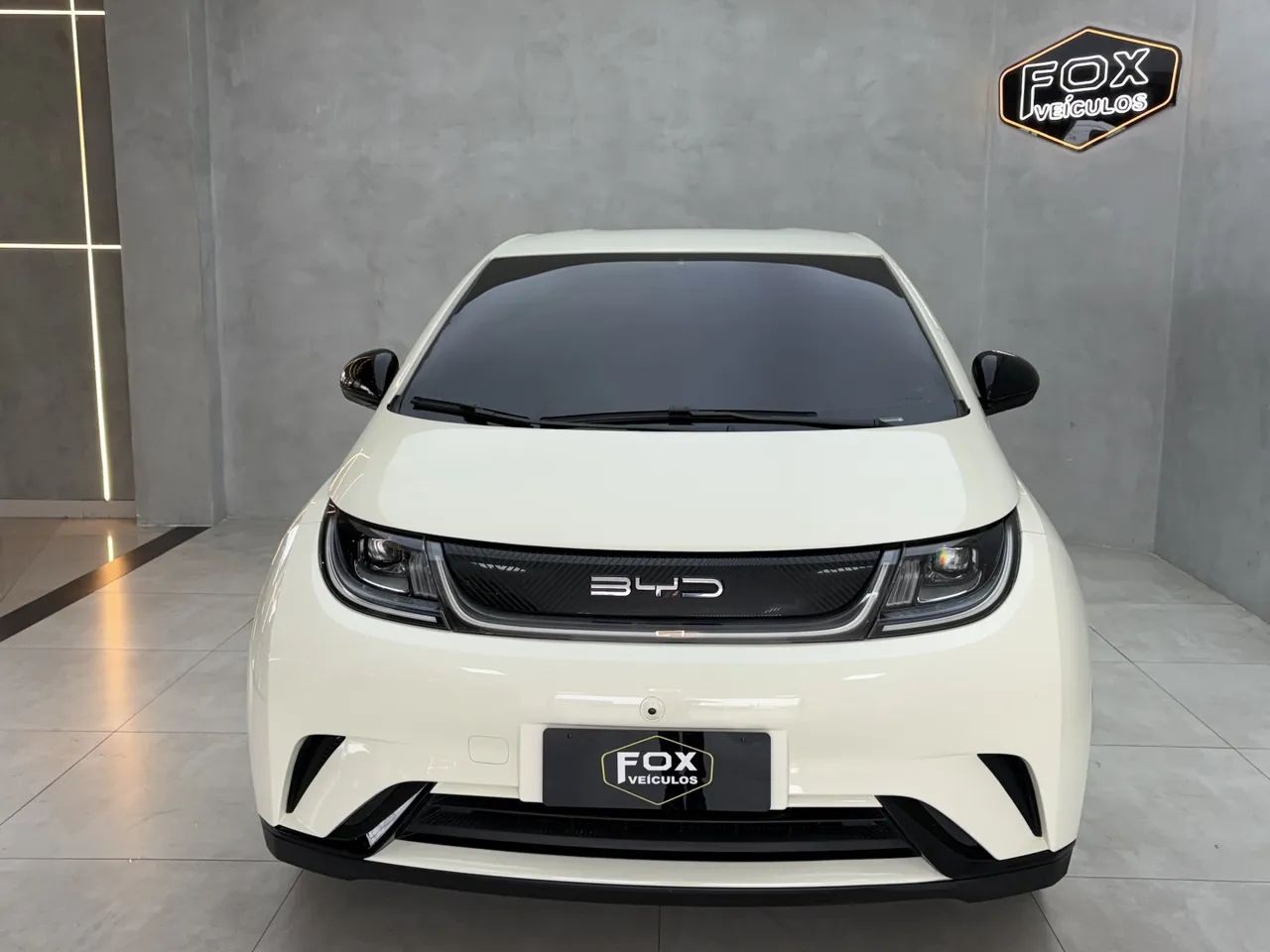 BYD Dolphin EV (Elétrico) 2024 - Foto 3