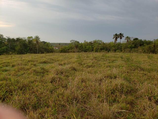 Fazenda pecuária R$ 12.000,00 por HA - Foto 3