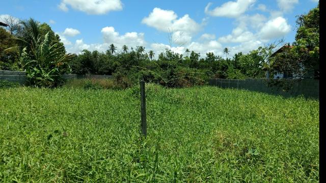 Grande terreno em Porto de Galinhas- Legalizado- Próximo ao mar-Super oportunidade!!