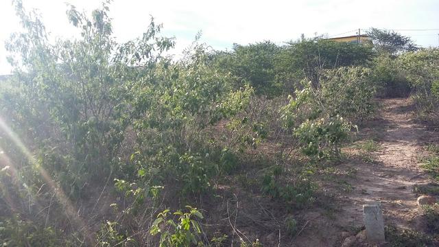 Um terreno no Loteamento Fazenda Riacho do Mel - Foto 4