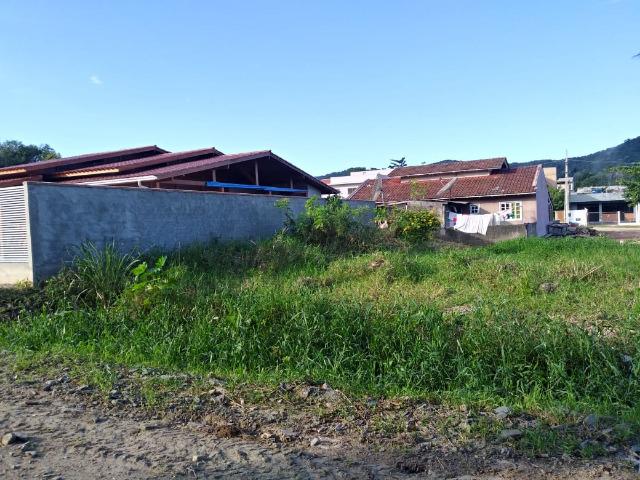 Excelente terreno na Praia de Zimbros / Bombinhas SC - 275 m2 - Foto 2