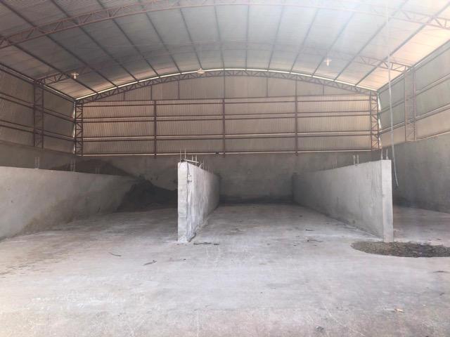 Sítio com estrutura de Fazenda - Foto 20