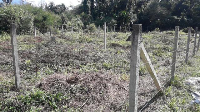 Terreno - Vila das Palmeiras - Morretes