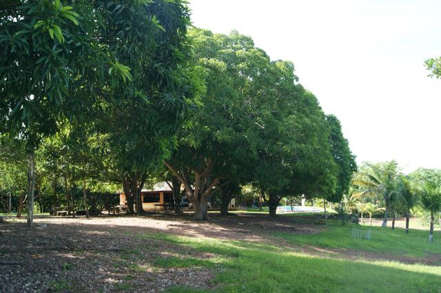 Fazenda 70 hectares á venda á 16km de Cuiabá - Foto 6