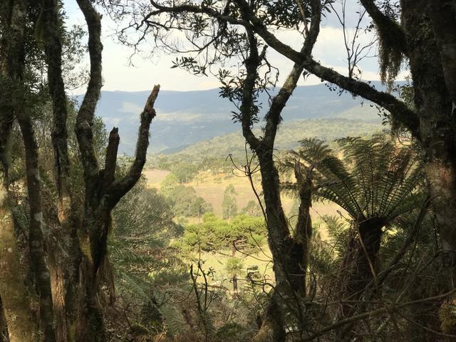 Chácara Urubici - Foto 4