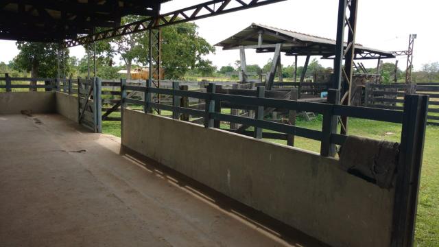 Chácara 12 hectares á 14 km de Cuiabá á venda - Foto 18
