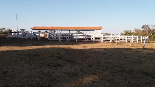 Fazenda 1.200 hectares á 20 km de Cuiabá - Foto 13