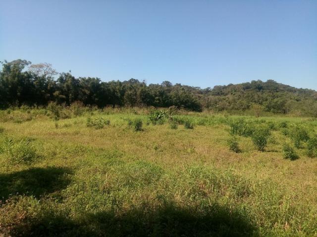 Chácara - Raia Velha - Morretes - Foto 3