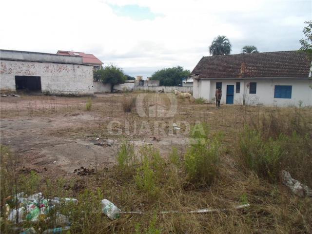 Terreno à venda em Protásio alves, Porto alegre cod:39232 - Foto 3