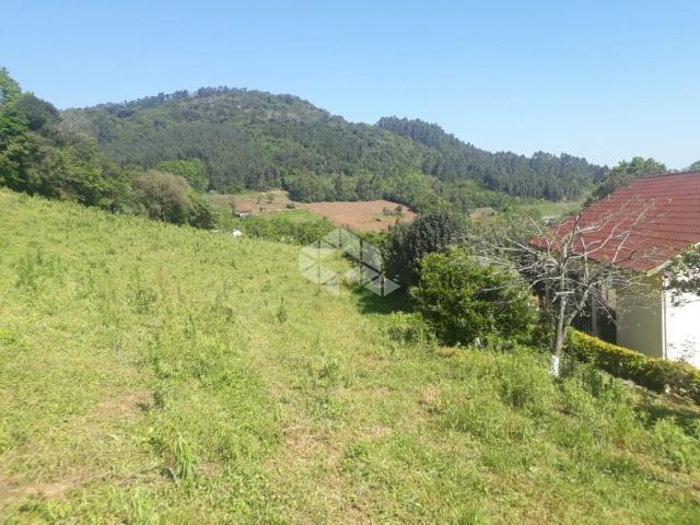 Chácara à venda em São luiz de castro, Boa vista do sul cod:9912945 - Foto 3