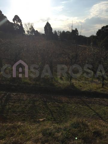 Casa à venda com 2 dormitórios em Fazenda souza, Caxias do sul cod:511 - Foto 8