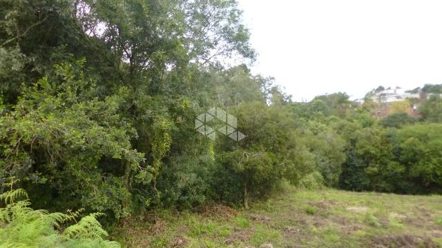 Terreno à venda em Garibaldina, Garibaldi cod:9906884 - Foto 6