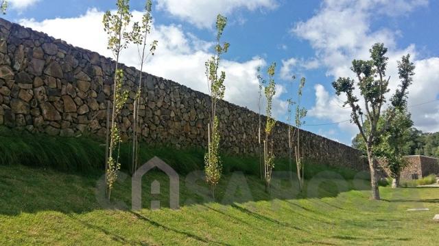 Terreno à venda em Nossa senhora da saude, Caxias do sul cod:2125 - Foto 9