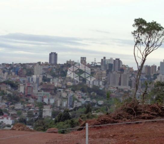 Terreno à venda em Universitário, Bento gonçalves cod:9903096 - Foto 8