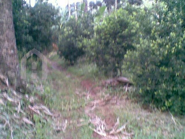 Chácara à venda em Nova palmira, Caxias do sul cod:248 - Foto 4