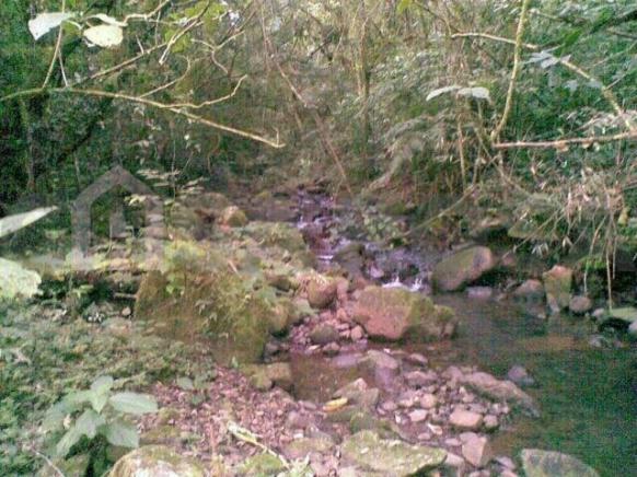Chácara à venda em Nova palmira, Caxias do sul cod:248 - Foto 2