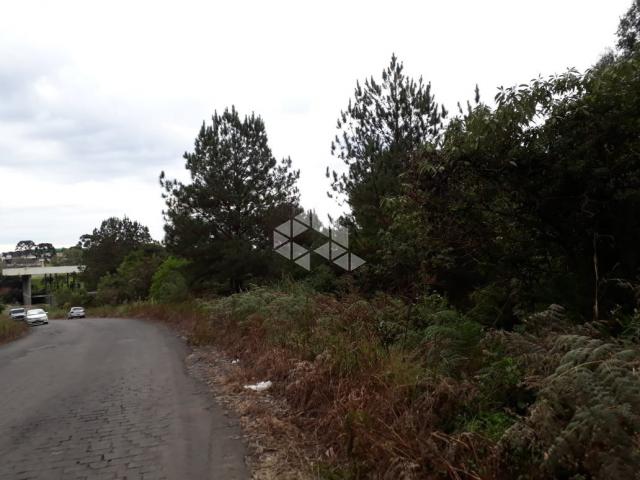 Terreno à venda em Centro, Garibaldi cod:9904474 - Foto 3