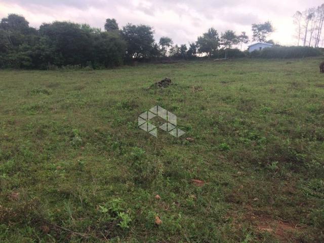 Chácara à venda em São luiz de castro, Boa vista do sul cod:9904527 - Foto 2