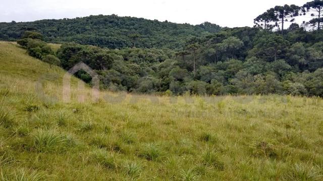 Terreno à venda em Fazenda souza, Caxias do sul cod:298 - Foto 5