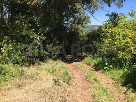 Terreno à venda em Ana rech, Caxias do sul cod:612 - Foto 9