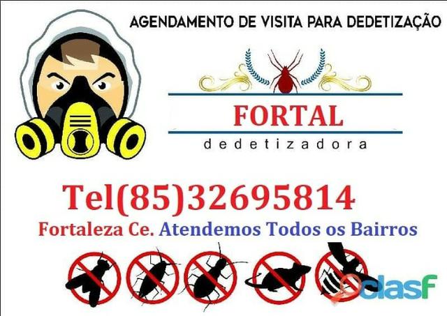 Dedetizadora Fortal, Dedetização e Limpeza de Caixa D´Água - Foto 2