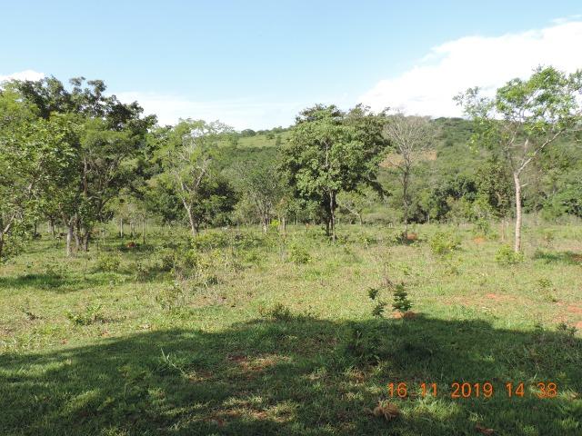 Vende-se terreno de 14 hectares - Foto 11