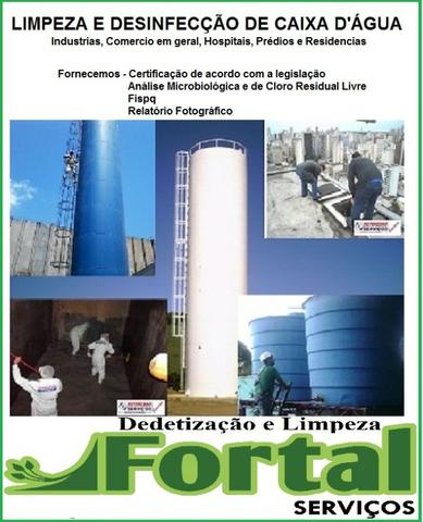 Dedetizadora Fortal, Dedetização e Limpeza de Caixa D´Água - Foto 3