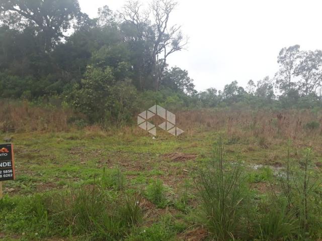 Terreno à venda em Licorsul, Bento gonçalves cod:9904290 - Foto 6