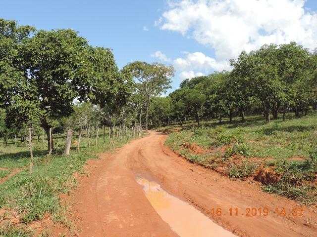 Vende-se terreno de 14 hectares - Foto 9