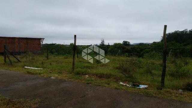 Terreno à venda em Protásio alves, Porto alegre cod:TE1342 - Foto 6